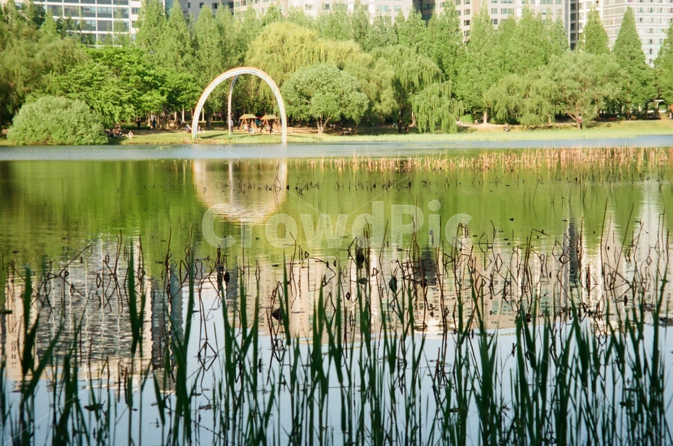 호수공원,호수,강,일산호수공원,공원,물,lake,river,park,필름카메라,필름사진