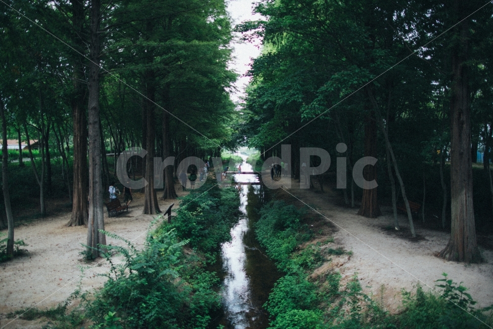 경주,산림환경연구원,식물,나무,스냅,자연,풍경,nature,landscape,휴식,힐링,rest,relaxation,healing,ditch,도랑