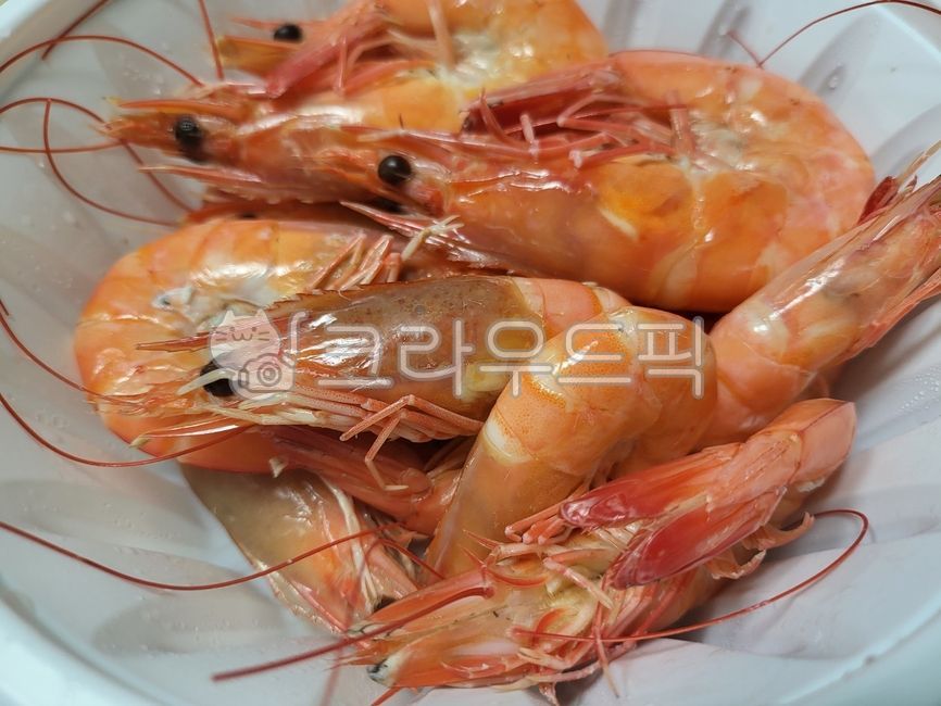 음식, 새우, 해물, 해양생물, 새우찜, 사진,이미지,일러스트,캘리그라피 - 먹보보리작가