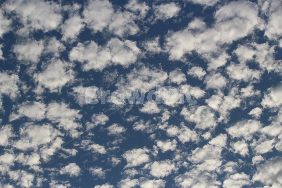 양떼구름,고적운,높쌘구름,하늘,구름,cloud,sky