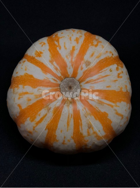 호박,주황색,채소,원형,농산품,추수,pattern,circle,음식,식재료,요리,food,cook,meal,dishes,food reserves