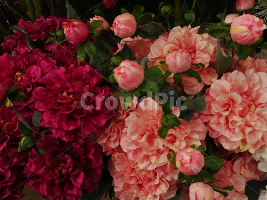 꽃,꽃다발,디스플레이,플라워,배경,바탕,백그라운드,장식,데코레이션,꽃잎,flowers,칼라,color,식물,축하,조화,배경화면