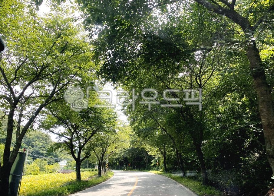 road,colonnade,road name,sight