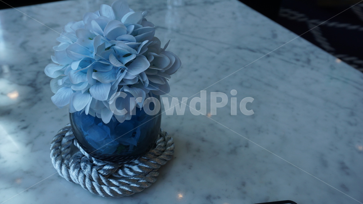 수국,소품,장식,꽃병,테이블,hydrangea,prop,decoration,vase,table
