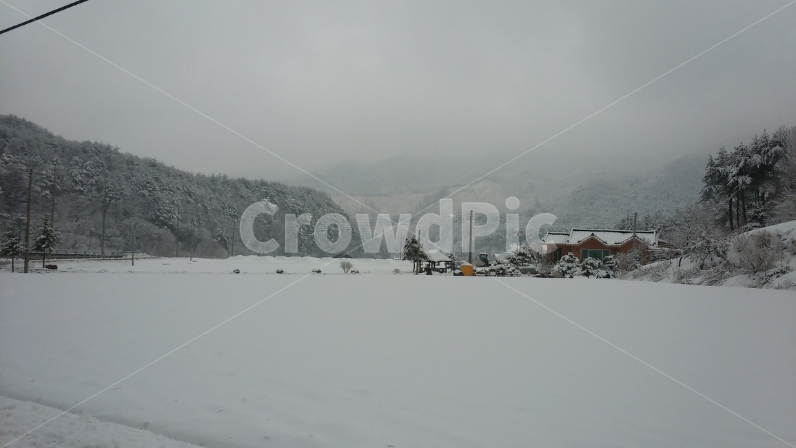 눈,설경,숲,시골,산,자연,겨울,계절,winter,season,자연,풍경,nature,landscape,storm,폭풍,blizzard,눈보라,outdoors,옥외,snow