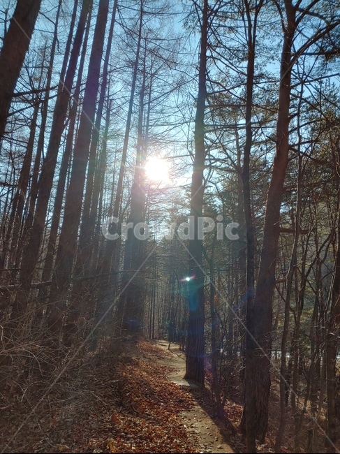 산,자연,풍경,겨울,힐링