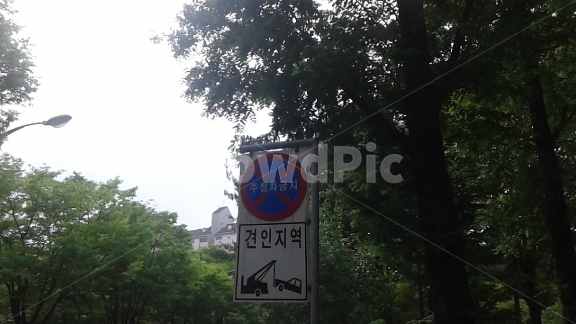 도로,안내판,표지판,동네,주차금지