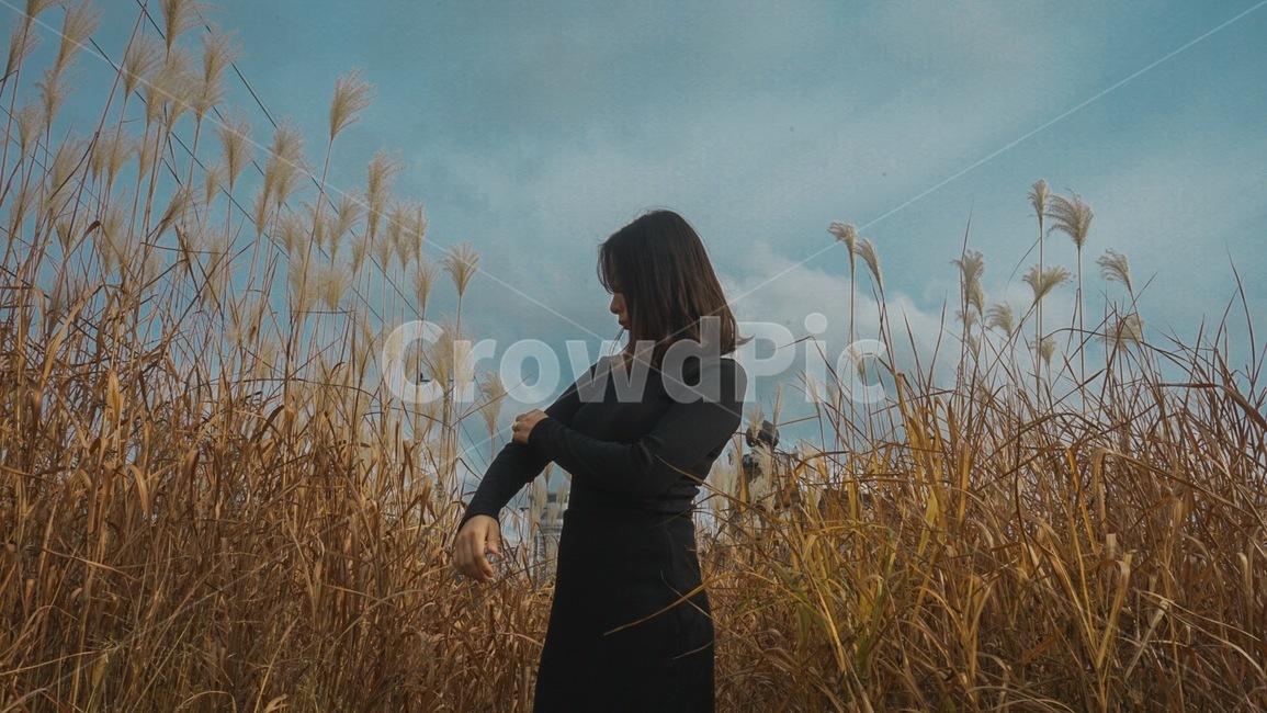 감성사진,여자,갈대,girl,여자옆모습,가을,계절,fall,autumn,season,사람,인물,인간,human,person,여성,여자,woman,female,lady,grass,잔디,plant,식물,lawn,reed