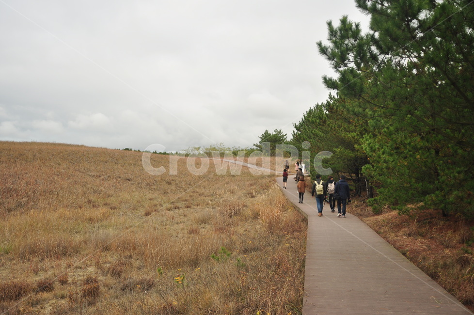 person,사람,human,인간,뒷모습,behind,데크,deck,벌판,들판,풍경,landscape,자연,nature,신두리,고해상도,감성,감성사진,사람들,초원,밭,평화로운,조용한,field,outdoor,옥외