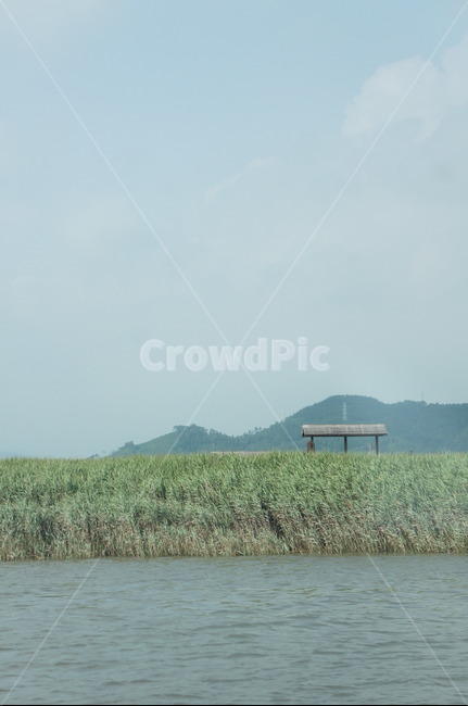 순천,순천만,갈대,늪,강,바다,흐림,outdoors,옥외,nature,자연,water,물