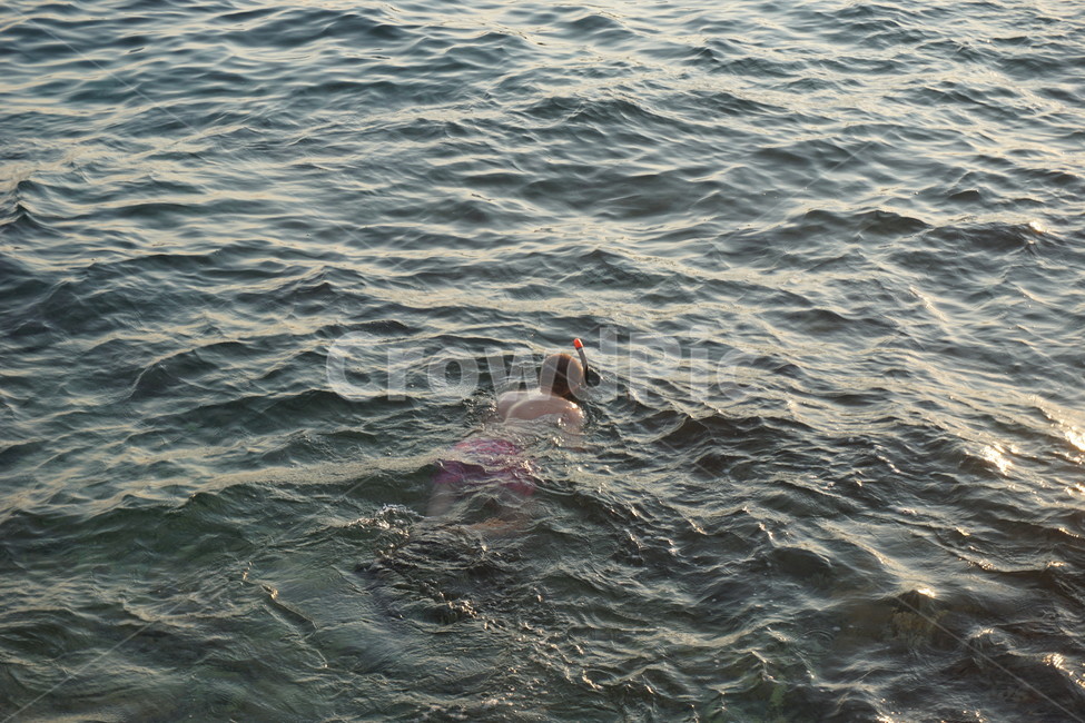 바다,수영,swimming,스노쿨링,배경화면
