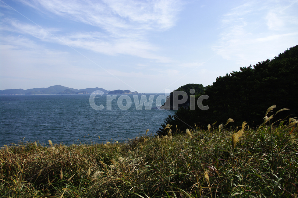 풍경,바다,섬,잡초,구름,억새,land,땅,outdoors,옥외,nature,자연,shoreline,해안선,water,물,promontory,곶,sea,ocean,대양
