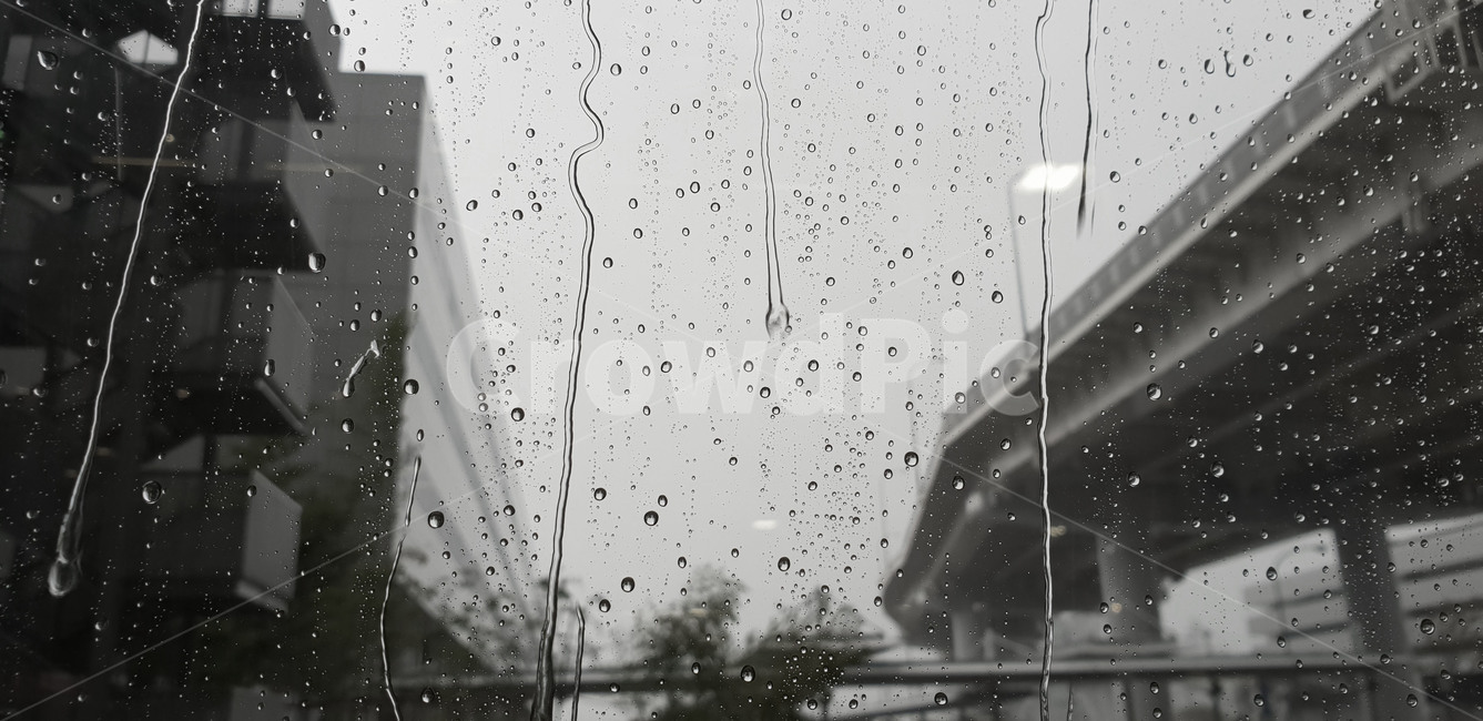 도시,우울함,비,비내리는창문,창문,흑백,빗물,비,비오는날,rain,rainy,흑백,모노톤,monochrome,black and white