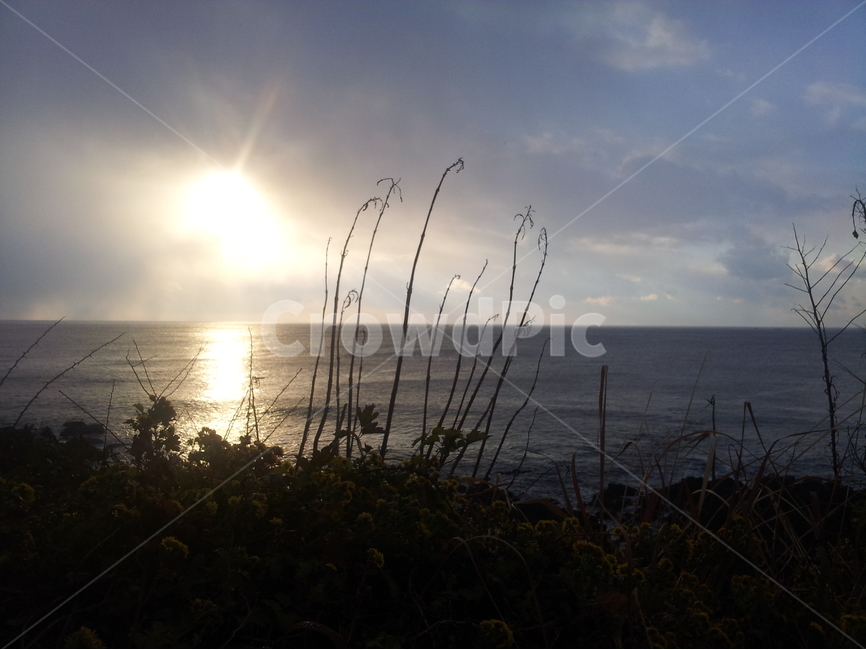 제주도,일몰,감성,흑과백,바다,자연,풍경,nature,landscape,light,빛,flare,플레어,sunlight,햇빛