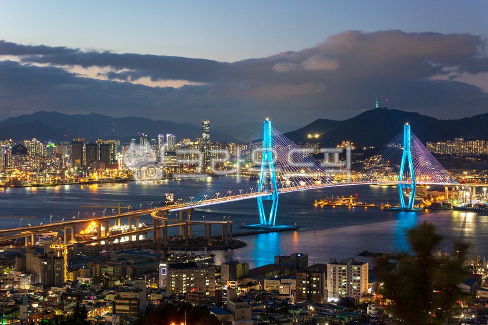 야경,청학배수지전망대,북항대교,부산항,항구,부두,nightview,nightscene,다리,city,조명,도시,건물,bridge,architecture