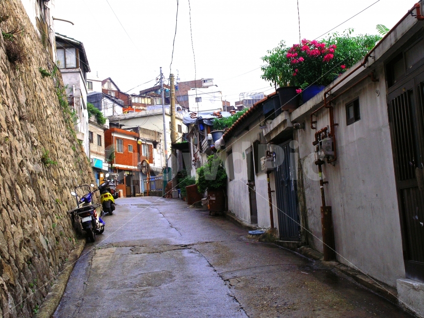 newsletter,hamlet,catalog,stairs,feel,common people,lyricism,building,hill road,draft,publication,forgotten,recollection,poverty,residence,redevelopment,old,past,alienation,feeling,flyer,analog,outskirts,vintage,neighborhood,alleyway,shanty town,memory,ho