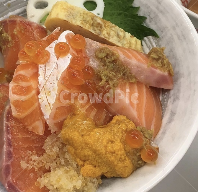 연어,맛집,음식,연아덮밥,맛있는음식