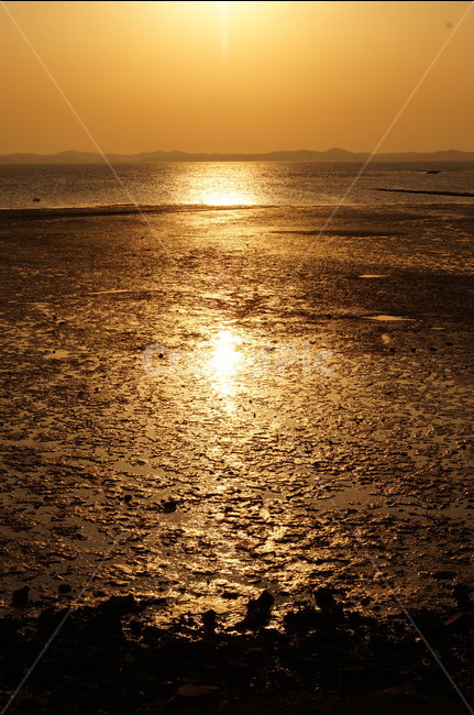 노을,바닷가,태양,황금빛,갯벌,자연,풍경,nature,landscape,한국자연풍경,한국자연경관,korea nature landscape,해변,바다,beach,sea,light,빛,flare,플레어,sunlight,햇빛