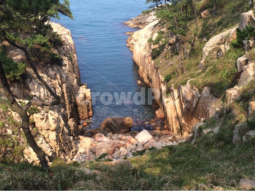 대왕암,바위,바다,소나무,여름,자연,풍경,nature,landscape,promontory,곶,outdoors,옥외,cliff,낭떠러지