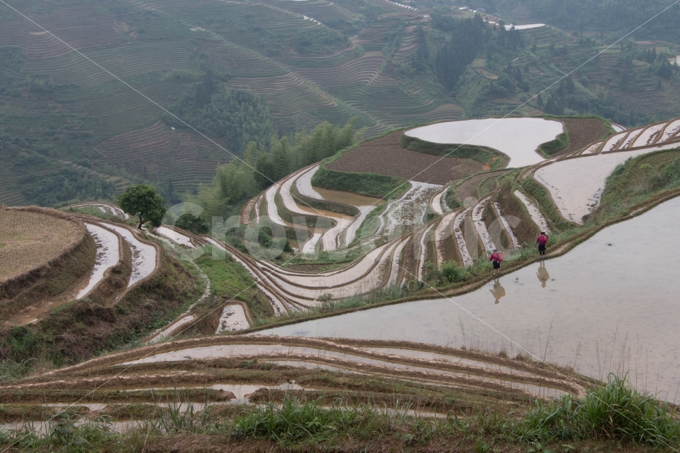 풍경,자연,중국,여행,여행사진,자연,풍경,nature,landscape,시골,마을,country,rural,town,해외,외국,세계,foreign,oversea,world,세계자연풍경,해외자연풍경,외국자연풍경,world nature landscape,사람,인물,인간,human,person,산업,industry,industrial,농업,농사,agriculture,farming,farming industry,outdoors,옥외,scenery,경치,aerial view,조감도
