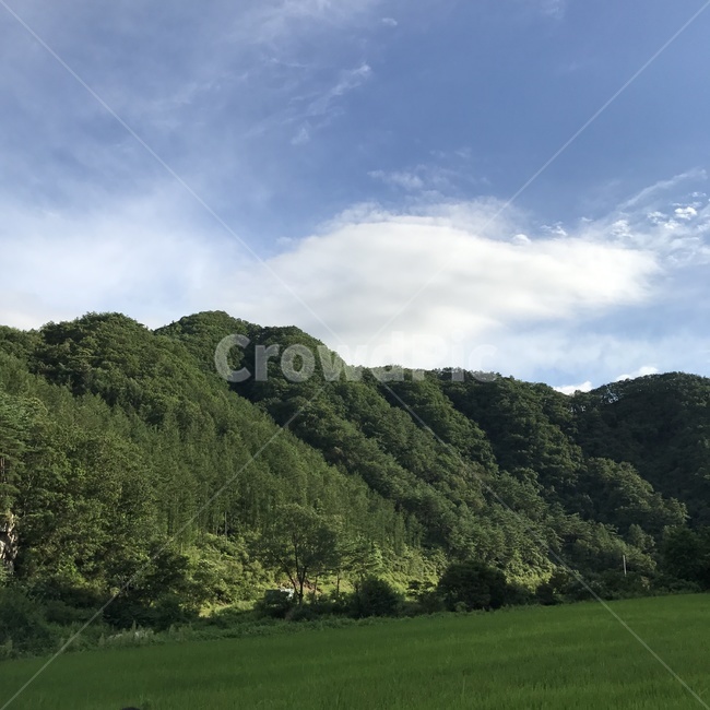 풍경,구름,하늘,캠핑,산,여름,자연,풍경,nature,landscape,outdoors,옥외,grassland,목초지,field,들