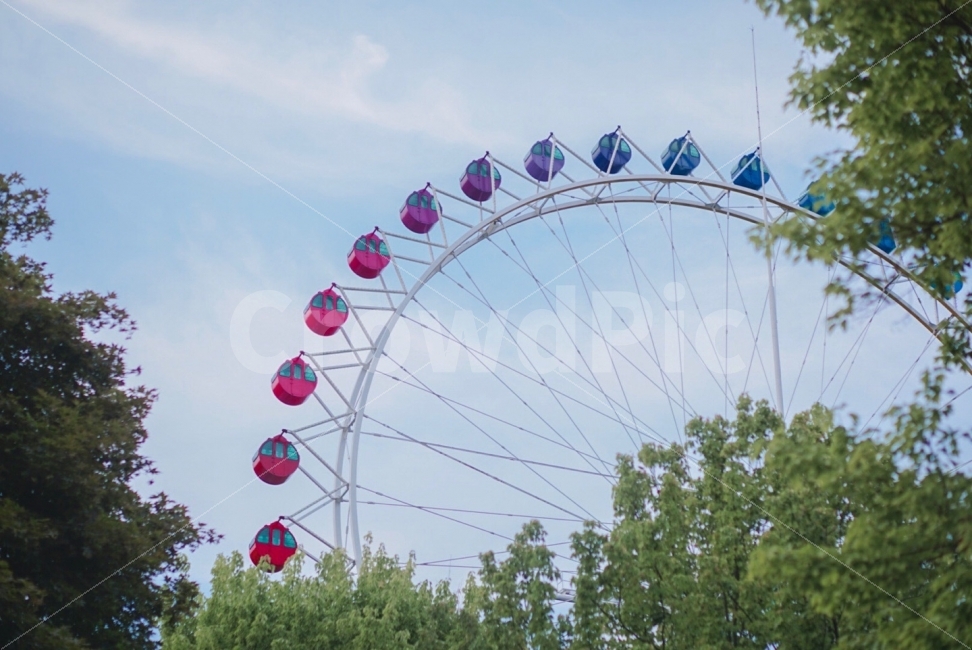 theme park,Amusement Park,ferris wheel,Everland,Rides