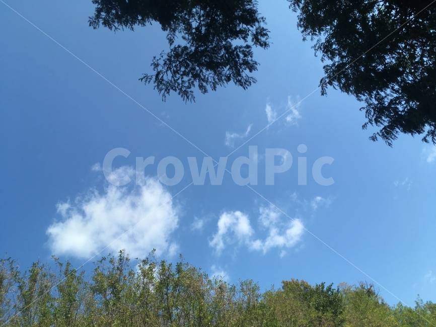 자연,나무,하늘,구름,가을,가을하늘,Natural,Tree,Sky,Cloud,자연,풍경,nature,landscape