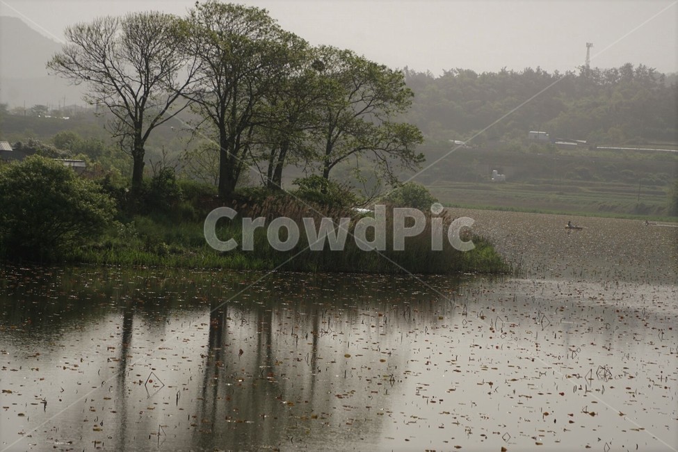 자연,식물,나무,물,저수지,그림자,초록색,감성,서정,trees,nature,green,풍경,자연풍경,자연,풍경,nature,landscape,land,땅,outdoors,옥외,water