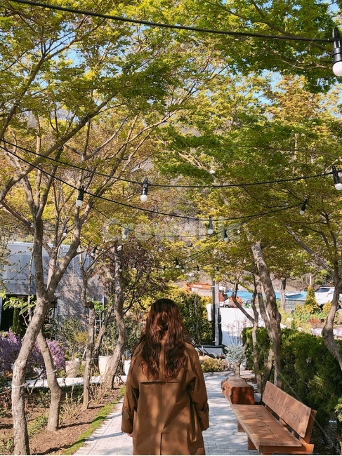여자,뒷모습,여자뒷모습,사람,나무길
