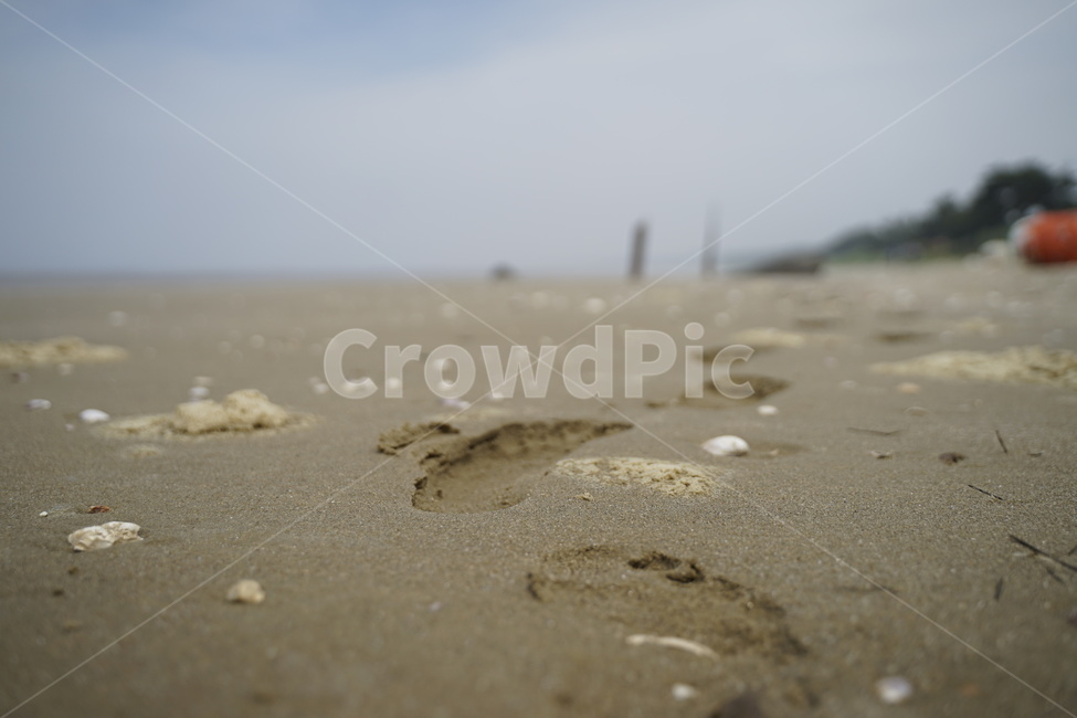 발자국,모래위표시,바닷가추억,안면도,여름바다,해변,바다,beach,sea