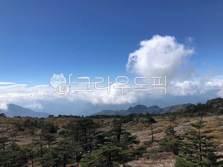 sky,mountain peak,nature,white clouds,radish,clouds,trails,mountain range,scenery,summit,tracking,cloud,plant,plateau,cumulus clouds,weather