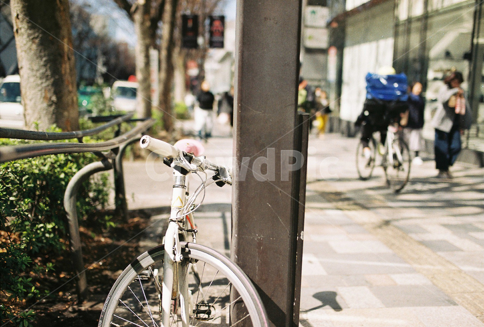 도쿄,일본,오모테산도,자전거,도로,필름사진,도시,풍경,city,landscape,해외,외국,세계,foreign,oversea,world,세계도시풍경,해외도시풍경,외국도시풍경,world cityscape,vehicle,차량,transportation,교통,bicycle,bike,machine,기계,wheel,바퀴