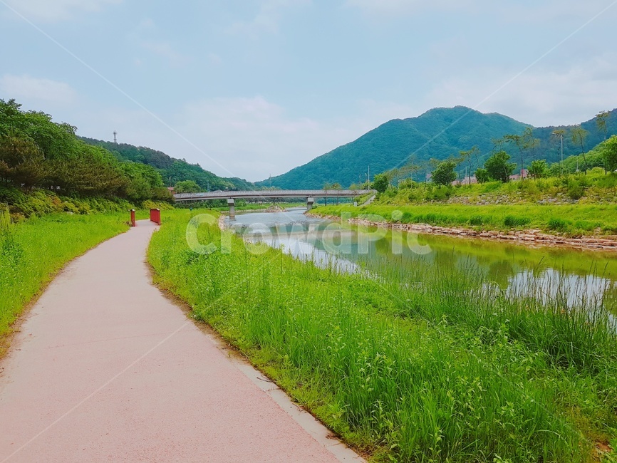 자연,산책,물,산,산책로
