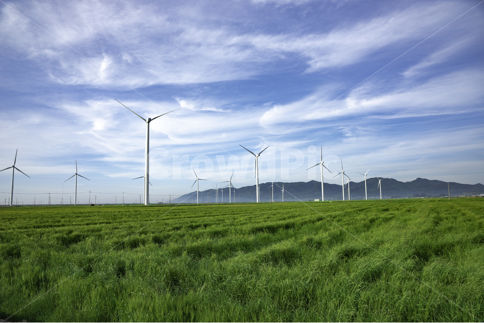 바람,물,숲,풍경,꽃,사람,전남,자연,풍경,nature,landscape,산업,industry,industrial,에너지산업,energy industry,plant,식물,grass,잔디