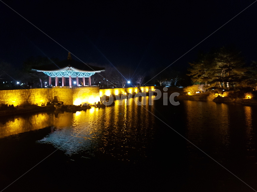 경주,동궁과월지,안압지,야경,전통,tradition,gyeongju,건축물,building,korea,신라