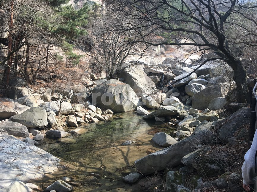 북한산,계곡,돌,나무,겨울,풍경,자연