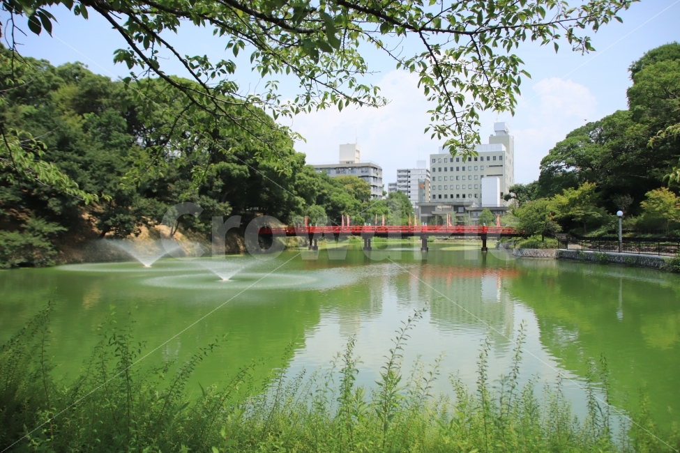 여행사진,일본여행,오사카여행,텐노지,오사카시립미술관,연못,도시,풍경,city,landscape,해외,외국,세계,foreign,oversea,world,water,물,outdoors,옥외,nature,자연