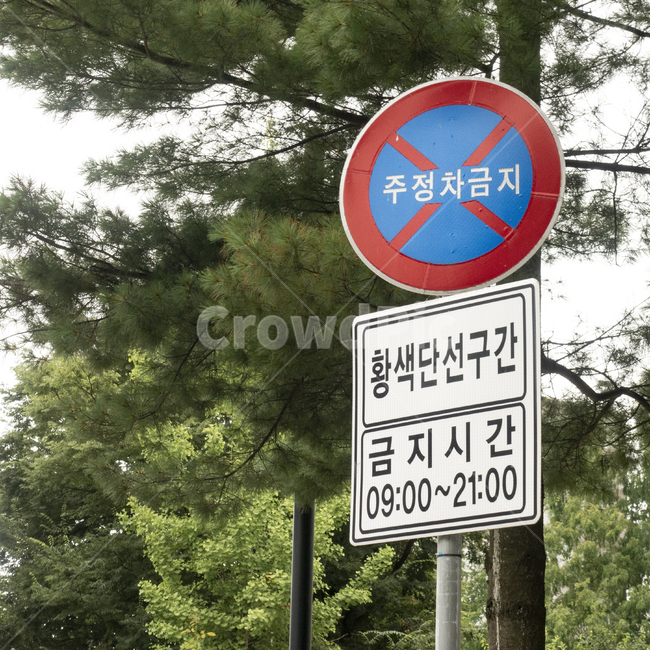 표지판,주정차금지,도로표지판,도로,주차금지,주정차,교통,traffic,금지,황색단선구간