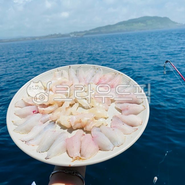 제주도,제주도바다,바다낚시,낚시,fishing,회,sashimi,바다회