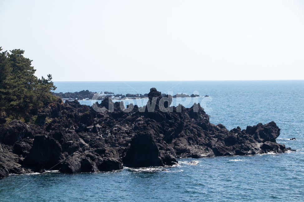 자연,주상절리,제주도,바다,바위,자연,풍경,nature,landscape,제주도,jeju,jeju island