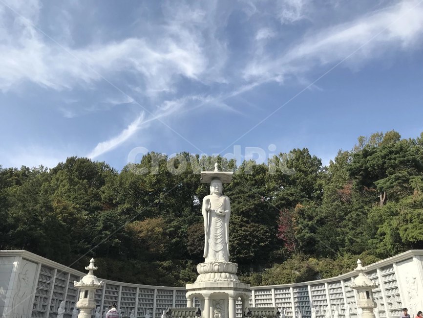 봉은사,절,하늘,나무,템스플레이