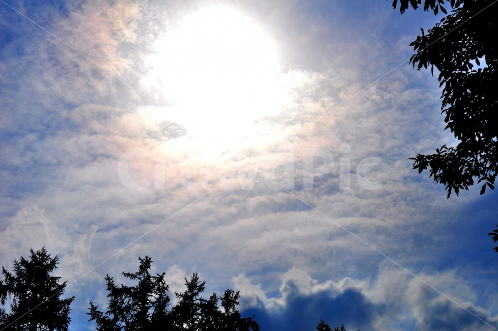 춘천,여행,하늘,구름,태양,빛,나무,가을,trip,sky,clouds,sun,sunshine,sunny,lights,trees,autumn,자연,풍경,nature,landscape,outdoors,옥외,weather,날씨