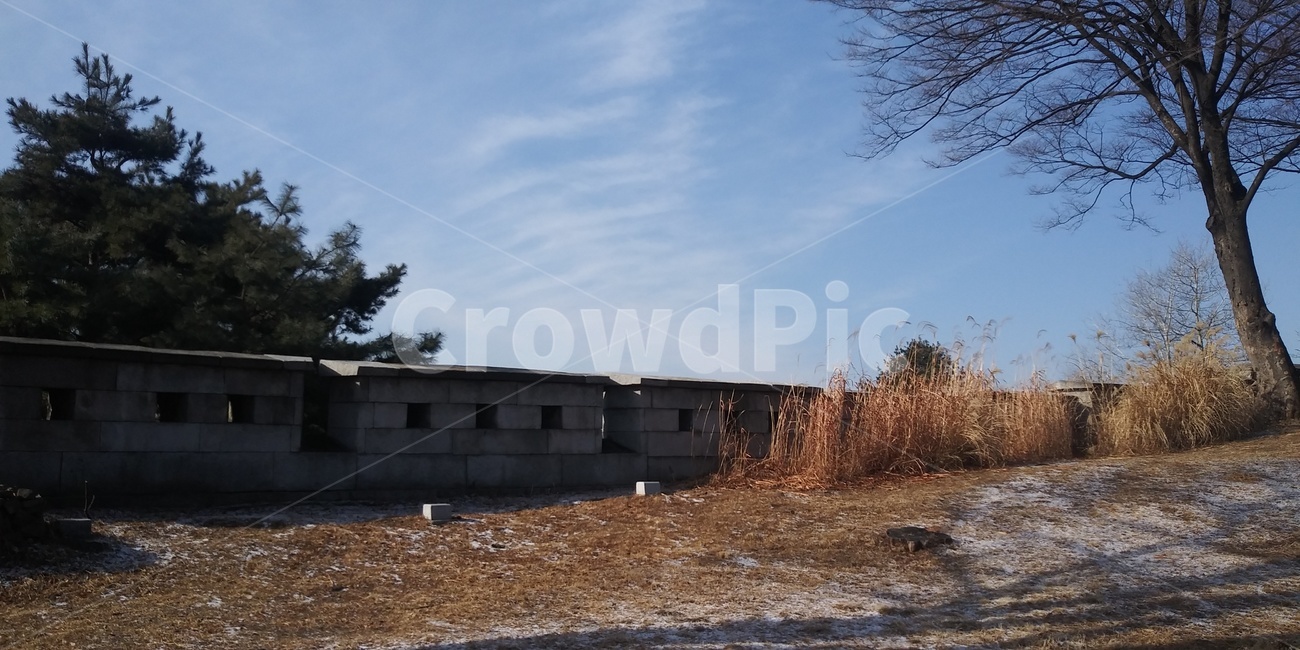 겨울하늘,겨울,남산,서울,경치