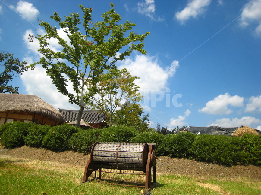 시골,탈곡기,전통,옛날물건,짚지붕,나무,하늘,구름,rural,thresher,tradition,straw,roof,tree,sky,cloud,blue,green,파란하늘,시골,마을,풍경,landscape,country,rural,town,한국전통,한국문화,korean traditional,korean culture