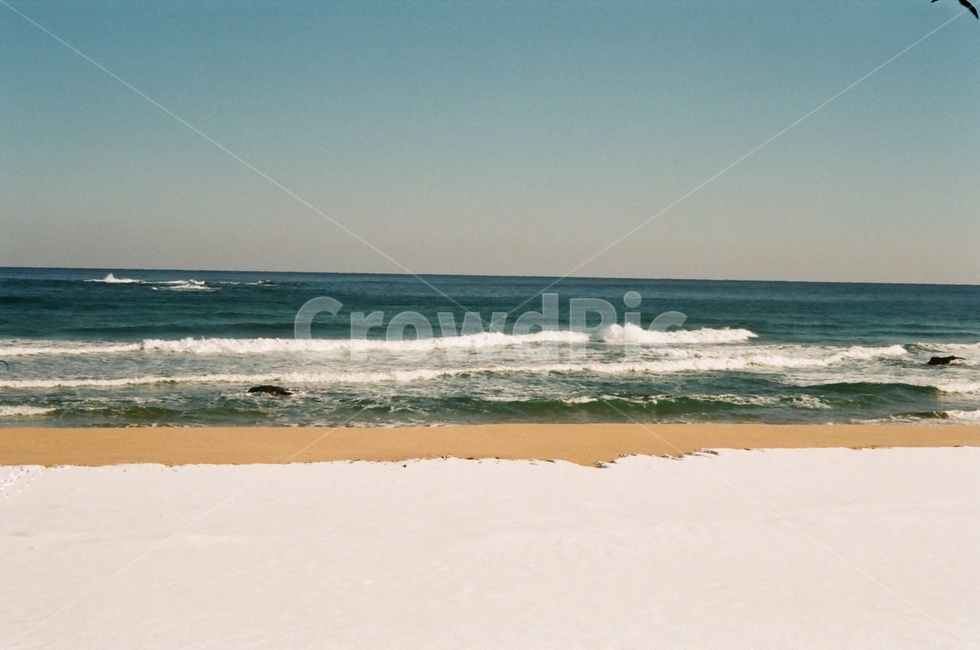 겨울,바다,눈,snow,beach,sea,겨울바다,파도,wave