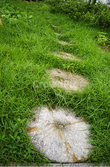 징검다리,돌,풀,잡초,초록,식물,자연,풍경,nature,landscape,grass,잔디,plant