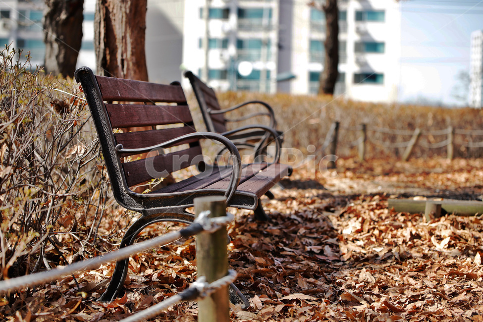 의자,감성사진,낙엽,나무,공원,가을,계절,fall,autumn,season,furniture,가구,bench,벤치