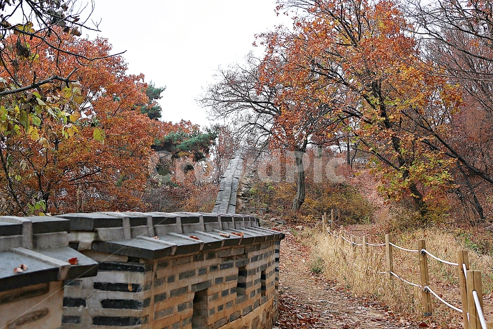 남한산성,성,성곽,단풍,낙엽,길,둘레길,담,돌담,가을,자연,풍경,벽,울긋불긋,산성,식물,가을,계절,fall,autumn,season,한국전통,한국문화,korean traditional,korean culture,tree,나무,plant