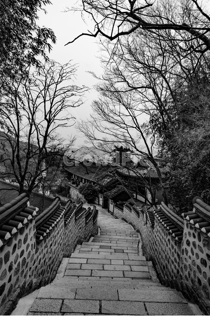 범어사,산사,기와,길,절,한국전통,한국문화,korean traditional,korean culture,흑백,모노톤,monochrome,black and white,건축물,건물외관,exterior,building,structure,architecture,construction