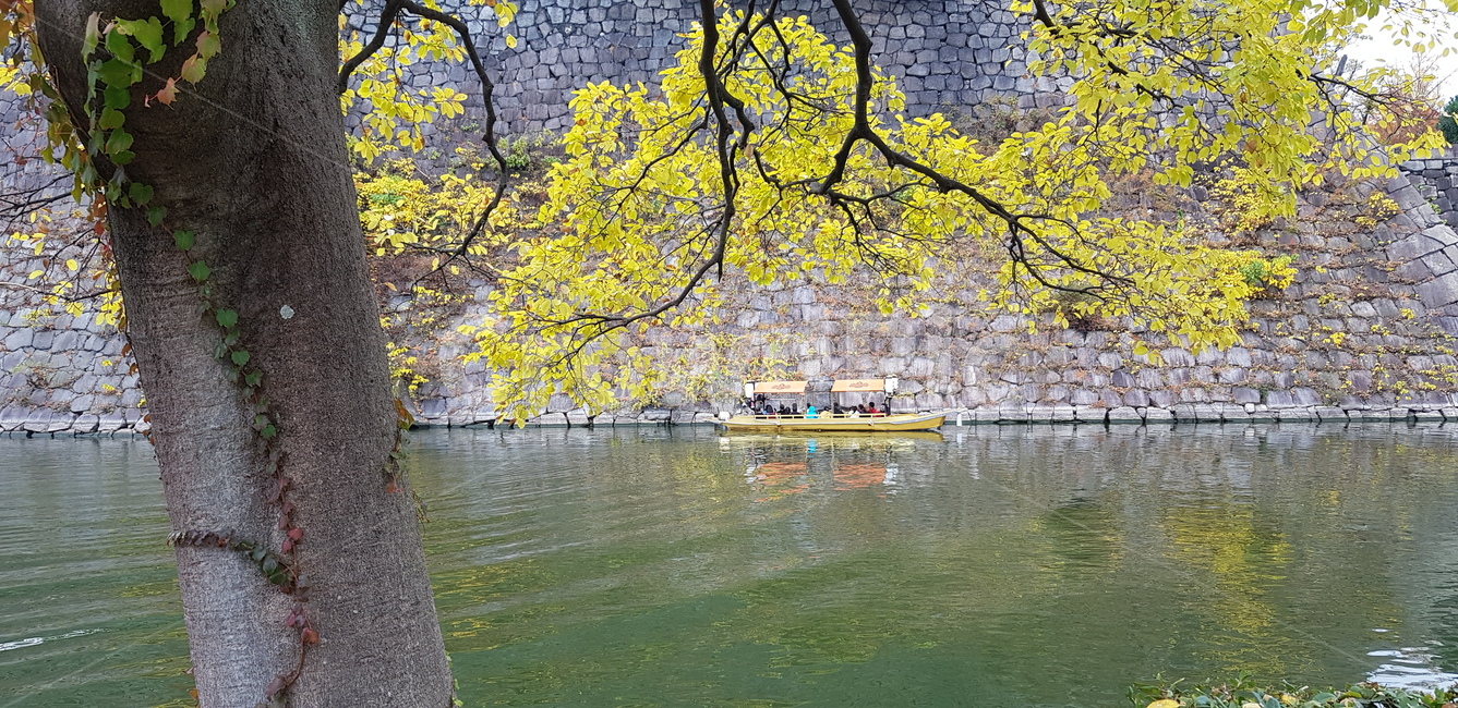 배,강,호수,자연,나무,자연,풍경,nature,landscape